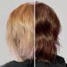 Buy Color Pigment Refresher Mask - Semi Permanent Hair Color Depositing Conditioner (8.5 Oz Brown) | International Shipping Available - Buy Online on GoSupps.com