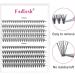 200Pcs 10D/20D 0.07 C Curl Cluster Lashes Mixed Trays DIY Eyelash Extensions 8-16mm at Home - Buy Online on GoSupps.com
