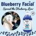 ShowSeason Blueberry Facial 1 Gallon - Luxurious Pet Grooming Treatment - Buy Online on GoSupps.com