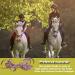 Adjustable Horse Halter | Heavy Duty Chin and Throat Snap Halter Horse - Comfortable Padded Nylon Horse Halter for Training Equestrian Grooming Lambo Purple - Buy Online on GoSupps.com