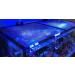 D-D Anti-Jump Protection for Aquarium 180x90 cm (Lot de 1)