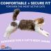 Buy Small Disposable Cat Diapers - Superior Comfort & Leak Protection | International Shipping Available - Buy Online on GoSupps.com