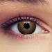 Design lenses naturally acting contact lenses "Dimension hazel" hazelnut brown colored contact lenses brown 1 pair (2nd) wearing time 3 months + free container without strength 0.0 diopters 8.7 millimeters 14.20 millimeters 2.0
