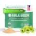 Amla Powder & Green Tea Superfood Supplement 20x Ultra Concentrated Amla Antioxidant Support Made with Oolong Tea and Indian Gooseberries Organic Vegan Classic Flavor 30 Servings Amla Powder | 30 Servings