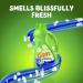 Gain Blissful Breeze Fabric Softener 129 fl oz - 150 Loads | HE Compatible - Buy Online on GoSupps.com