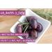 Golden Kreta Olive Oil 3L 3 x 1L cans + 1 Lamda Estate Kalamata Vacuum-Packed Olives 250g - Buy Online on GoSupps.com
