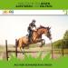 Estella Bronchial Juice for Horses 1L | Herbal Extract with Fennel Elderberry & Linden Blossom | Natural Cough Relief for Airways Lungs & Breathing Problems - Buy Online on GoSupps.com