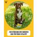 IVVI HIP & Joint Tablets for Dogs - 60 Chicken-Flavored Snacks with Glucosamine Chondroitin & MSM - Highly Concentrated Joint Support with Green Lipped Mussel - International Shipping Available - Buy Online on GoSupps.com