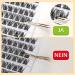 QUEWEL Eyelash Cluster - Mixed Length Natural Look DIY Extensions | Reusable & Permanent Thin Band - Perfect for Home Use (FD01) - Buy Online on GoSupps.com