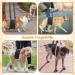Premium Dog Harness for Hedge Aid | Comfortable & Durable Dog Gear for International Shipping - Buy Online on GoSupps.com