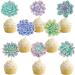 Succulents Theme Cupcake Toppers - Buy Online on GoSupps.com