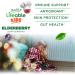 Lifeable Sugar Free Elderberry Gummies for Kids with Vitamin C and Zinc | Kids Immune Support Supplement | Great Tasting Elderberry Gummies | Vegan Non GMO Kosher Gluten Free | 60 Gummies - Buy Online on GoSupps.com