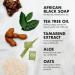 Shea Moisture African Black Soap with Shea Butter 8 oz - Pack of 3 | Natural Skin Care - Buy Online on GoSupps.com