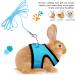 2 Pieces Guinea Pig Clothes Baby Ferret Rats Hamster Soft Mesh Harness Leash Vest Set with Bell for Guinea Pigs Hamster Ferret Rabbit Chinchilla and Similar Small Animals Small Blue Black - Buy Online on GoSupps.com