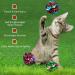 SunGrow Cat Crinkle Balls - Lightweight Toy for Kittens and Adult Cats - 1.5-2 Inches - 12 Pieces Multicolor - Buy Online on GoSupps.com