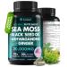 Secret Element Irish Sea Moss Black Seed Oil Ashwagandha Ginger 20 000mg Capsules Seamoss Black Seed Oil Ashwagandha Burdock Root All in One Supplement 120 Capsules 120 Count (Pack of 1)