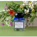 ANDRE L AROM - Eau de parfum made in France original for women - 1.6fl.oz. / 50 ml - from Grasse (BAIES D' T Citrus ) - Buy Online on GoSupps.com