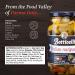 Botticelli Premium Italian Antipasto Jar (2-Pack) - Artichoke, Olives & Mushroom - Gluten-Free - 18oz - Buy Online on GoSupps.com