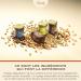 Venchi - Cr me Tartiner Chocolat au Lait et Noisettes 200 g avec 45% "Noisettes du Pi mont" Sans Gluten Sans Colorants et Sans Conservateurs Nocciola 250 g (Confezione da 1) - Buy Online on GoSupps.com