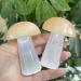 Home Decoration Natural Selenite Crystal Quartz Polished Mushroom Reiki Gypsum Crafts Decoration Stones 1 piece - Buy Online on GoSupps.com