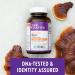 New Chapter Reishi 60 Vegan Capsules - Immune Support & Stress Relief - Buy Online on GoSupps.com