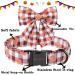 Unique Style Paws Halloween Dog Collar - Adjustable Pumpkin Design for Boys & Girls XS (20.3 30.5 cm) - Checkered Fly Collar with Metal Buckle - Buy Online on GoSupps.com
