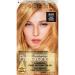 L'Oreal Paris Superior Preference Fade-Defying + Shine Permanent Hair Color  9GR Light Golden Reddish Blonde  Pack of 1  Hair Dye 9GR Light Golden Reddish Blonde 1 Count (Pack of 1)