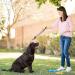 Opopark 2 Pieces Dog Bite Tug Toy Durable Pull Toy with 2 Strong Handles for Medium to Large Dogs Ideal for Tug of War Fetch Puppy Training & Interactive Play - Buy Online on GoSupps.com