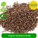 50g Organic Cardamom Seeds | Certified by Fenbrook Organic - Buy Online on GoSupps.com