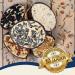 Buy Lyra PET 2x10 Coconut Filled Bird Feed | Fat-Rich Wild Bird Food with Toppings | Year-Round Nutrition | Vitamins & Protein for Wild Birds - Buy Online on GoSupps.com