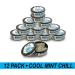 Teaza Herbal Energy Pouches - Nicotine and Tobacco Free Smokeless Alternative Snuff - Caffeine Free Chew - Cool Mint Chill Flavor - 12 Pack, 10 Count each - Buy Online on GoSupps.com