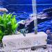 4-in-1 Aquarium Pump & Filter - 500L/h Internal Filter Adjustable for 30L-150L Aquariums - Buy Online on GoSupps.com
