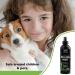 Aromasong Eucalyptus & Wild Mint Pillow Spray - Natural Calming Mist for Deep Sleep - Buy Online on GoSupps.com