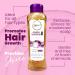 ANYELUZ Onion Shampoo & Aloe Conditioner Set | Strength & Hydration | Enriched with Onion Extract Biotin & Argan Oil | Deep Cleansing Hair Care - Buy Online on GoSupps.com
