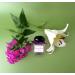 ANDRE L AROM - Eau de parfum made in France original for women - 1.6fl.oz. / 50 ml - from Grasse (GRANDI FLORA Oriental & Spicy ) - Buy Online on GoSupps.com