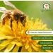 Buy German Forest Honey - Pure Bavarian Honey Spread 250g | Zum Lederer Family Beekeeping - Buy Online on GoSupps.com