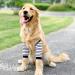Soft and Breathable Dog Elbow Brace Protector Prevent Licking and Wearable Striped Design for Enhanced Style and Functionality (4XL) - Buy Online on GoSupps.com