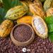 Yupik Chocolate Raisins Milk Chocolate 1Kg 1 kg (Pack of 1) - Buy Online on GoSupps.com