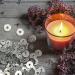 800 pcs Candle Wick Tabs - Metal Candle Wick Sustainer Tabs (12mm) | MILIVIXAY - Buy Online on GoSupps.com