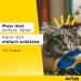 Effective Flea & Tick Protection for Cats (2-8kg) | Monthly Chewing Tablets - Easy to Administer - Buy Online on GoSupps.com