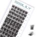 Cluster Lashes SISILILY Individual Lashes 72 Lash Clusters C D Curl Individual Cluster eyelashes DIY Lash Extensions Reusable False Eyelashes Wispy Fluffy Individual Lashes 10-16mm Length (DM28-mix) 72 clusters-DM28