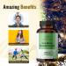 HERBAMAMA Sea Moss Capsules - Organic Irish Sea Moss Bladderwrack Supplement - 100 Vegetarian Capsules for Immunity, Thyroid, Digestive Health & Joint Support - Non-GMO Superfood (1 Pack) - Buy Online on GoSupps.com