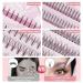MLEN DIARY 296pcs Clusters Individual Lashes | Natural Look Mixed 4 Types 5-12mm | False DIY Eyelashes Extension Wispy Faux Mink Lash - Buy Online on GoSupps.com