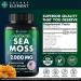 Sea Moss Bundle Wildcrafted Irish Sea Moss Capsules with Burdock Root Bladderwrack Muira Puama + Seamoss Black Seed Oil Ashwagandha & Ginger 360 Vegan Capsules - Buy Online on GoSupps.com