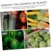 SUPVOX 1pc Vegetable Planting Melon Shaping Growing Shaped Stereotype Star Supply Plastic Fruit Growth - Buy Online on GoSupps.com