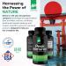Daiwa Peak Immune 4 Natural Immune System Booster with RBAC Rice Bran and Shiitake Mushroom Extract - Regular Strength - Buy Online on GoSupps.com