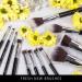 Nir Beauty 15-Part Vegan Make-Up Brush Set | Award-Winning Professional Brushes with Case Sponge Cleaner & Gift Box | Black & Silver - Buy Online on GoSupps.com