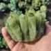 Stone 1pcs 400-500g Natural Green Ghost Phantom Quartz Crystal Cluster Specimen Crystal Cluster