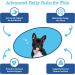 Zesty Paws Advanced Probiotic Bites for Dogs - Chicken Flavor, 90 Soft Chews for Senior Dog Digestion (12.7 oz) - Buy Online on GoSupps.com