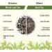 Octavius Chamomile Sleep (Caffeine Free) Loose Leaf Herbal Tea - 100 Gms - Buy Online on GoSupps.com